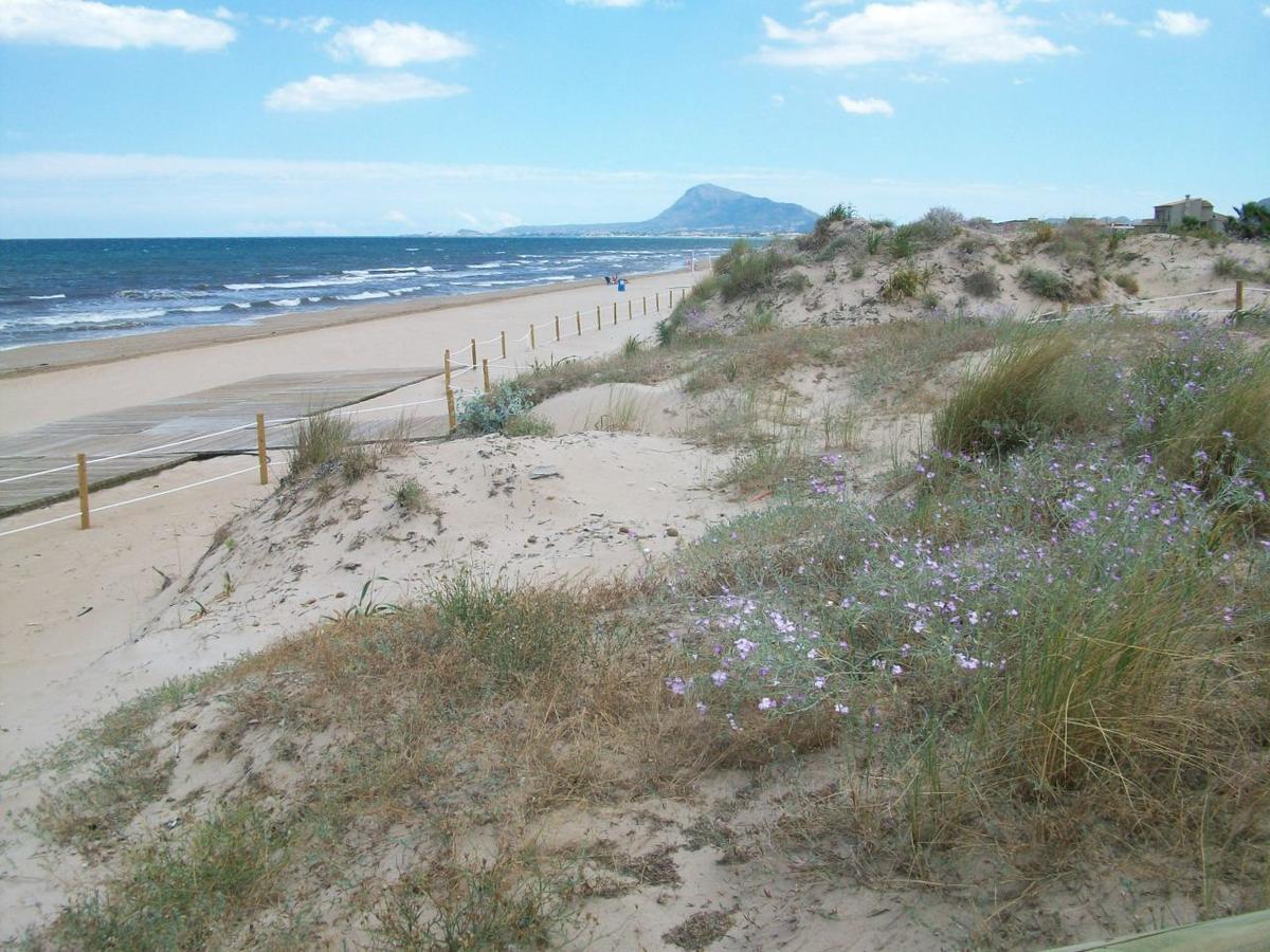 Roderic - Apartamento Junto Al Mar Oliva Exteriér fotografie